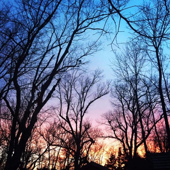 Welcome: Info & Recommendations - Picture 10 of 12